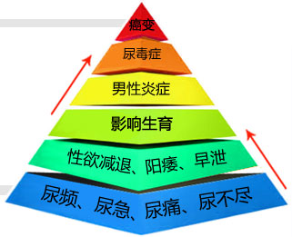 膀胱炎的病因